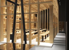 gerlinde kusstatscher licht