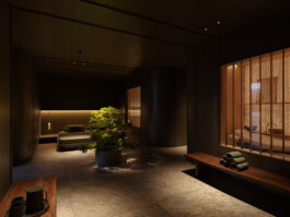 gerlinde kusstatscher licht