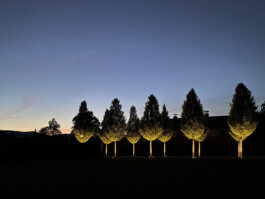 gerlinde kusstatscher licht